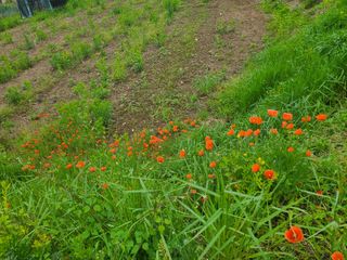 이박농장님의 자유주제 · 자유게시판 작성글 사진