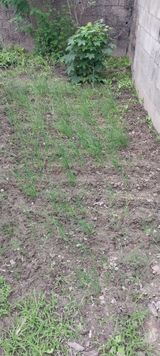 팜모닝 자유주제·자유게시판 게시글 이미지