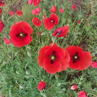 박수연님의 자유주제 · 자유게시판 작성글 사진