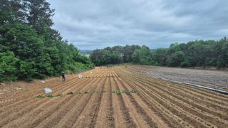 김동수님의 자유주제 · 자유게시판 작성글 사진