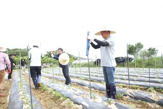 국중선님의 자유주제 · 자유게시판 작성글 사진