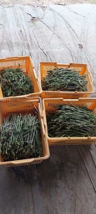 낙엽교목류15665님의 자유주제 · 자유게시판 작성글 사진