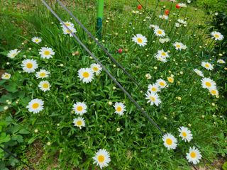 이박농장님의 자유주제 · 자유게시판 작성글 사진