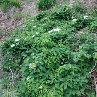 박수연님의 자유주제 · 자유게시판 작성글 사진