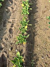 팜모닝 자유주제·자유게시판 게시글 이미지