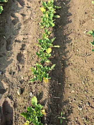 박진하님의 자유주제 · 자유게시판 작성글 사진