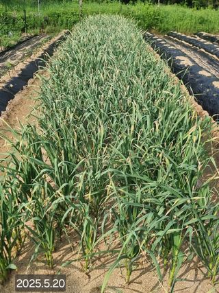 정석범님의 자유주제 · 자유게시판 작성글 사진