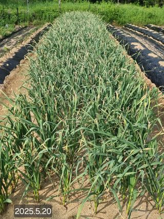 정석범님의 자유주제 · 자유게시판 작성글 사진