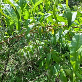 오영도님의 자유주제 · 자유게시판 작성글 사진