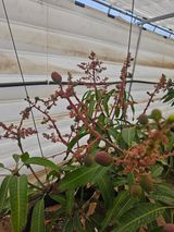 팜모닝 자유주제·자유게시판 게시글 이미지