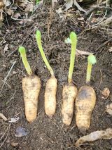 팜모닝 자유주제·칭찬해요 게시글 이미지