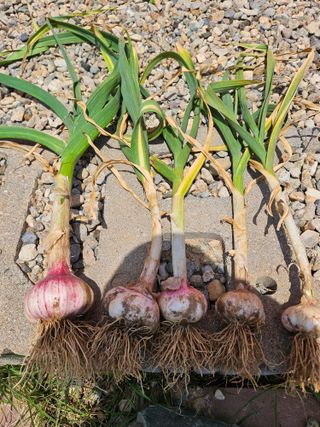 osm님의 자유주제 · 자유게시판 작성글 사진