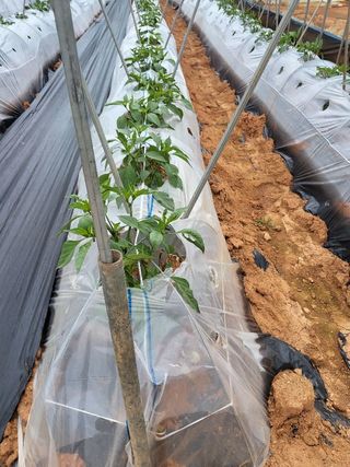 채종원님의 자유주제 · 자유게시판 작성글 사진