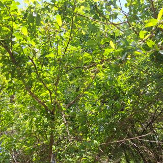 오영도님의 자유주제 · 자유게시판 작성글 사진