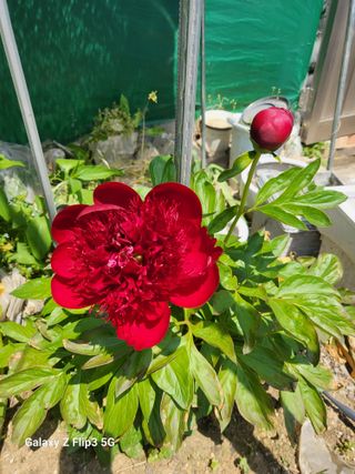 칠곡가산 최지훈님의 자유주제 · 자유게시판 작성글 사진