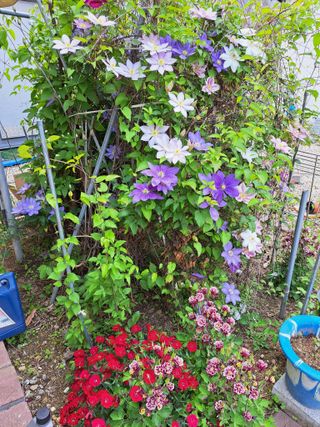 좋은인연원님의 자유주제 · 자유게시판 작성글 사진