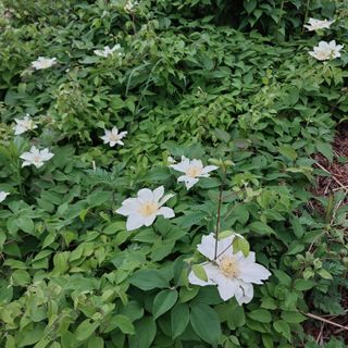 박수연님의 자유주제 · 자유게시판 작성글 사진