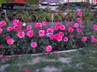 초보굴백이님의 자유주제 · 자유게시판 작성글 사진