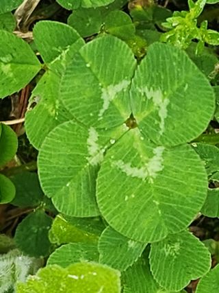 장수 팜 랜드님의 작성글 사진