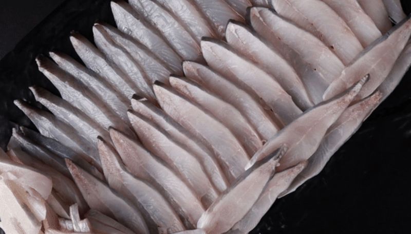 김진국님의 장터 판매 상품 [완도 자연산 병어회 세꼬시 손질후 500g 병치 덕자병어회] 첨부 사진