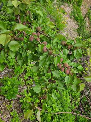정상붕님의 자유주제 · 자유게시판 작성글 사진