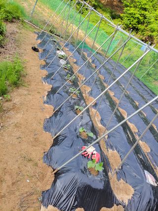 원빈님의 자유주제 · 자유게시판 작성글 사진