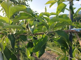 알 수 없음님의 자유주제 · 자유게시판 작성글 사진