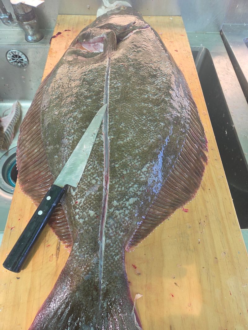 장터 상품 [완도 자연산 광어회 필렛포장 배송. 숙성회] 썸네일