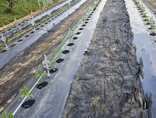 수 달님의 자유주제 · 자유게시판 작성글 사진