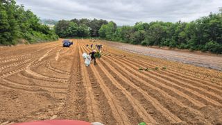 김동수님의 자유주제 · 자유게시판 작성글 사진