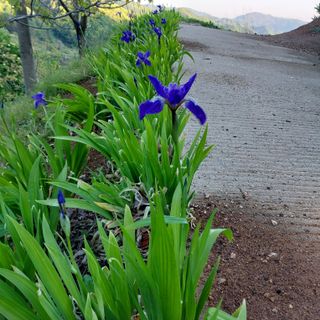 박수연님의 자유주제 · 자유게시판 작성글 사진
