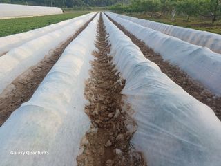 이창우님의 자유주제 · 자유게시판 작성글 사진