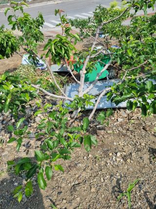 김용대님의 자유주제 · 자유게시판 작성글 사진