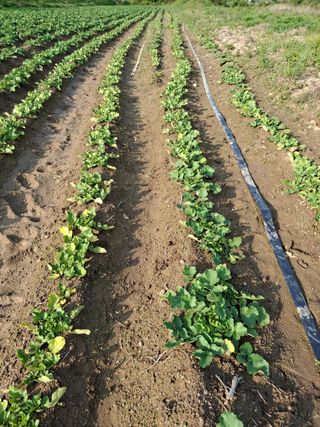 박진하님의 자유주제 · 자유게시판 작성글 사진