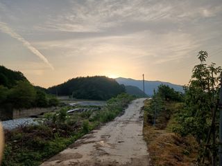 오임돈님의 자유주제 · 자유게시판 작성글 사진