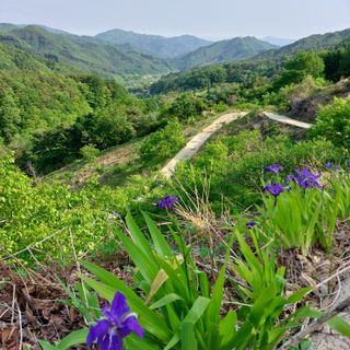 박수연님의 자유주제 · 자유게시판 작성글 사진