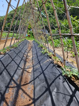 osm님의 자유주제 · 자유게시판 작성글 사진