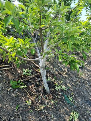 김용대님의 자유주제 · 자유게시판 작성글 사진