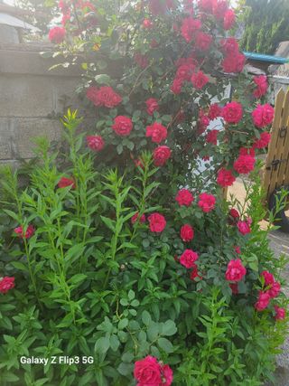 칠곡가산 최지훈님의 자유주제 · 자유게시판 작성글 사진