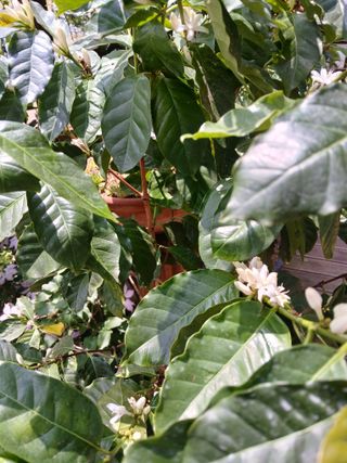 맞춤포도 드론방제님의 자유주제 · 자유게시판 작성글 사진