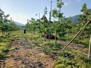 알 수 없음님의 자유주제 · 자유게시판 작성글 사진