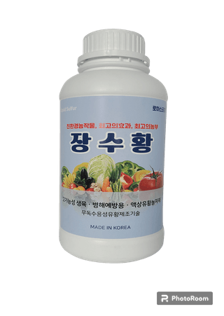 채종원님의 자유주제 · 자유게시판 작성글 사진