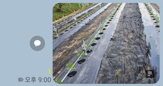 수 달님의 자유주제 · 자유게시판 작성글 사진