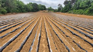 김동수님의 자유주제 · 자유게시판 작성글 사진
