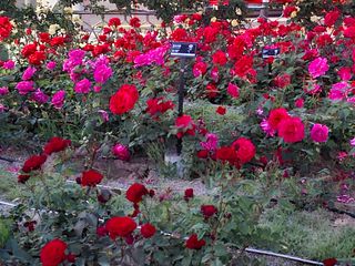 초보굴백이님의 자유주제 · 자유게시판 작성글 사진