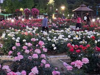 초보굴백이님의 자유주제 · 자유게시판 작성글 사진