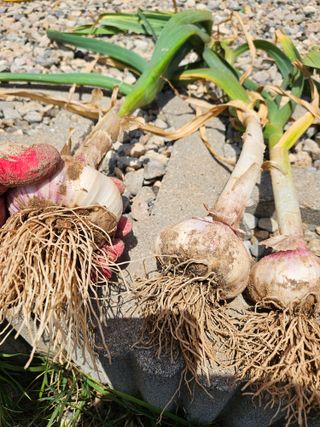 osm님의 자유주제 · 자유게시판 작성글 사진