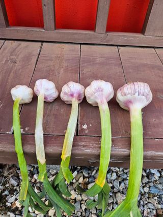 osm님의 자유주제 · 자유게시판 작성글 사진