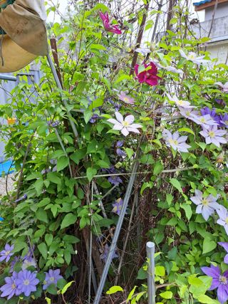 좋은인연원님의 자유주제 · 자유게시판 작성글 사진