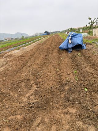 토끼풀님의 자유주제 · 자유게시판 작성글 사진